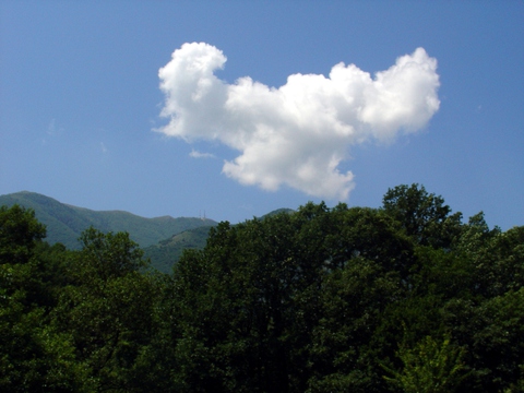 00__DSC06667_wb.JPG
