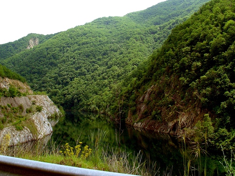 19__DSC06711_cropped_wb.JPG