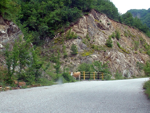 20__DSC06713_cropped_wb.JPG