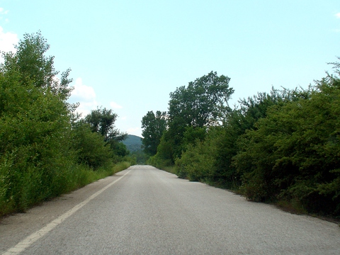 21__DSC06715_cropped_wb.JPG