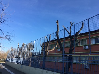 sxoleio-paralia.jpg